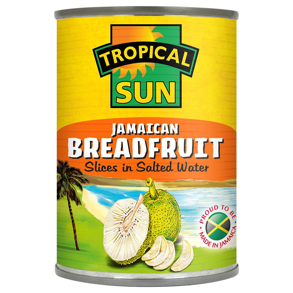 Jamaica Breadfruit (Bargain)